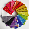 Alison Glass Fabric | Fat Quarter Bundle 1 | Little Fabric Shop Curated Bundle