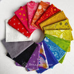 Alison Glass Fabric | Fat Quarter Bundle 1 | Little Fabric Shop Curated Bundle