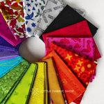 Alison Glass Fabric | Fat Quarter Bundle 2 | Little Fabric Shop Curated Bundle