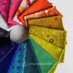 Alison Glass Fabric | Fat Quarter Bundle 3 | Little Fabric Shop Curated Bundle