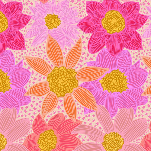 Jumpstart | Anna Maria Textiles | Stars and Stripes - Pink | Northcott Fabrics