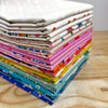 Best Day Ever | Ruby Star Society | Moda Fabrics | Half Yard Bundle | Melody Miller