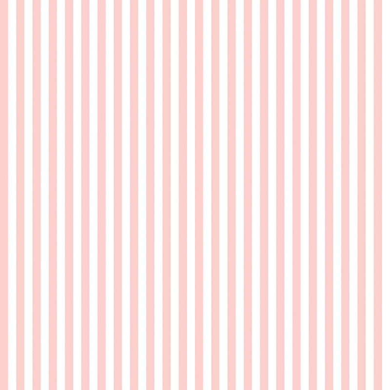 Stripes | Riley Blake Designs | 1/4" Baby Pink