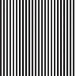 Stripes | Riley Blake Designs | 1/4" Black