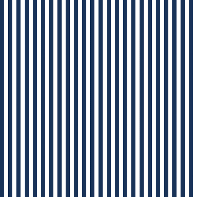Stripes | Riley Blake Designs | 1/4" Navy