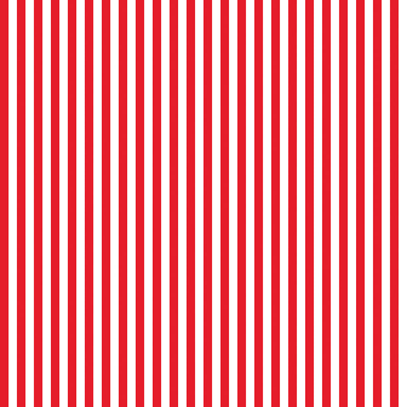 Stripes | Riley Blake Designs | 1/4" Red