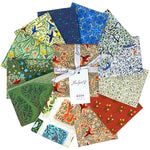 Backyard Wonder | Adam Trest | Half Yard Bundle | FreeSpirit Fabrics