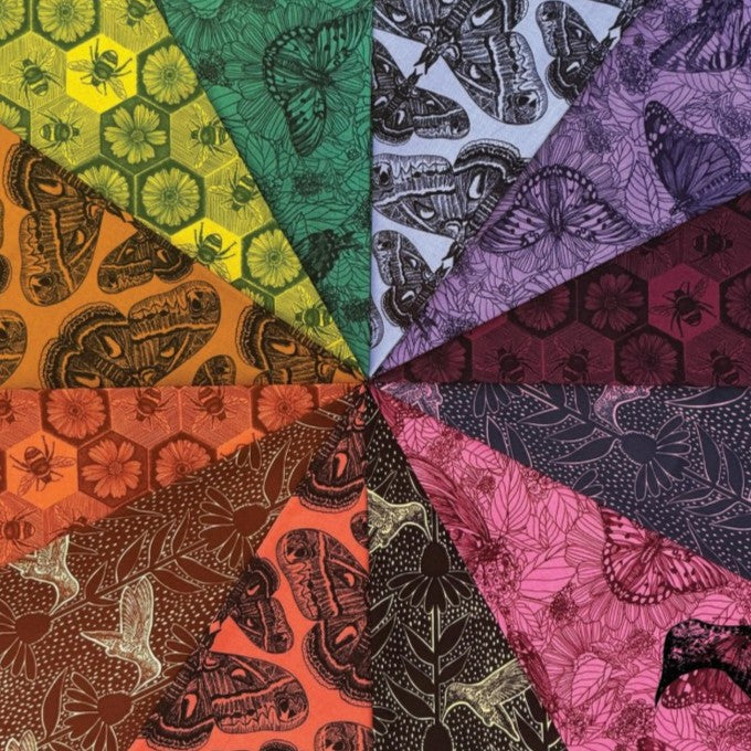 Indelible: Ink | Anna Maria Textiles | Humming - Black | Hummingbird | Coneflower | Northcott Fabrics
