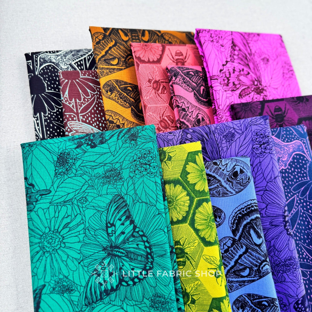 Indelible: Ink | Anna Maria Textiles | Half Yard Bundle | Northcott Fabrics 