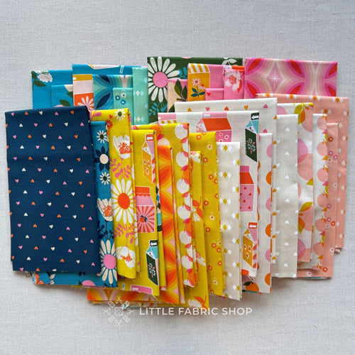 Juicy | Half Yard Bundle | Ruby Star Society | Melody Miller | Moda Fabrics