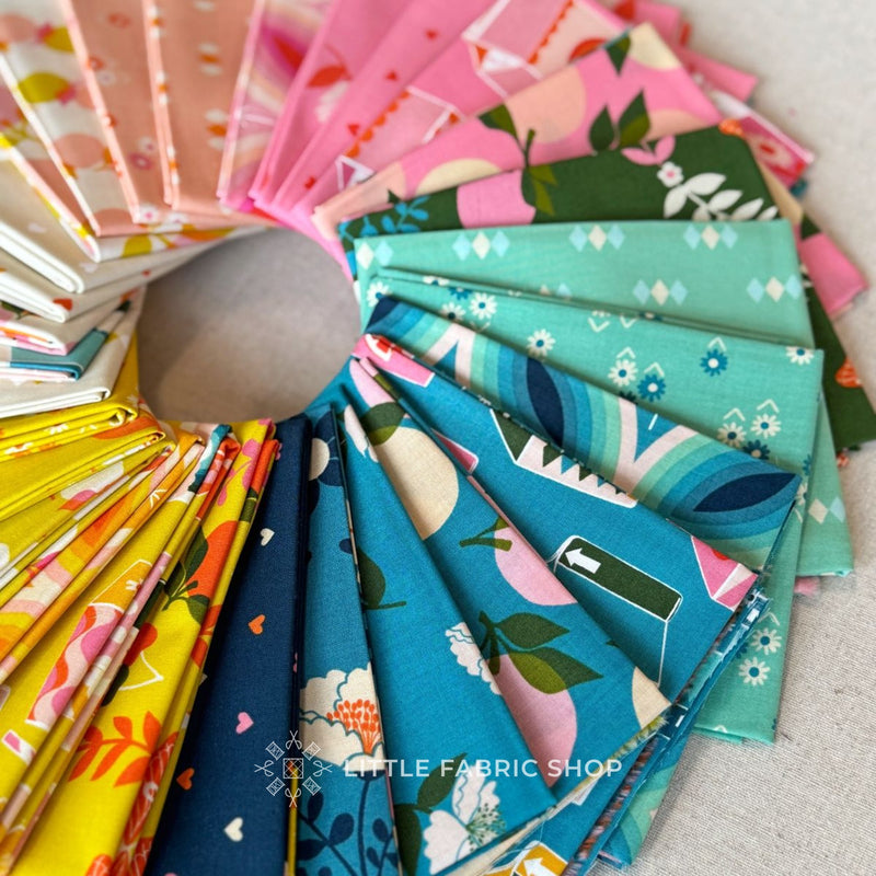 Juicy | Half Yard Bundle | Ruby Star Society | Melody Miller | Moda Fabrics