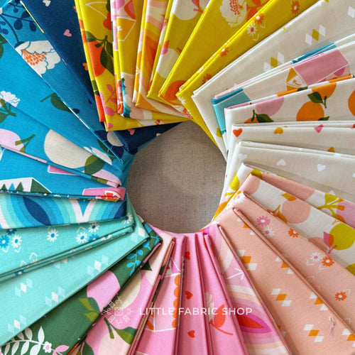 Juicy | Half Yard Bundle | Ruby Star Society | Melody Miller | Moda Fabrics