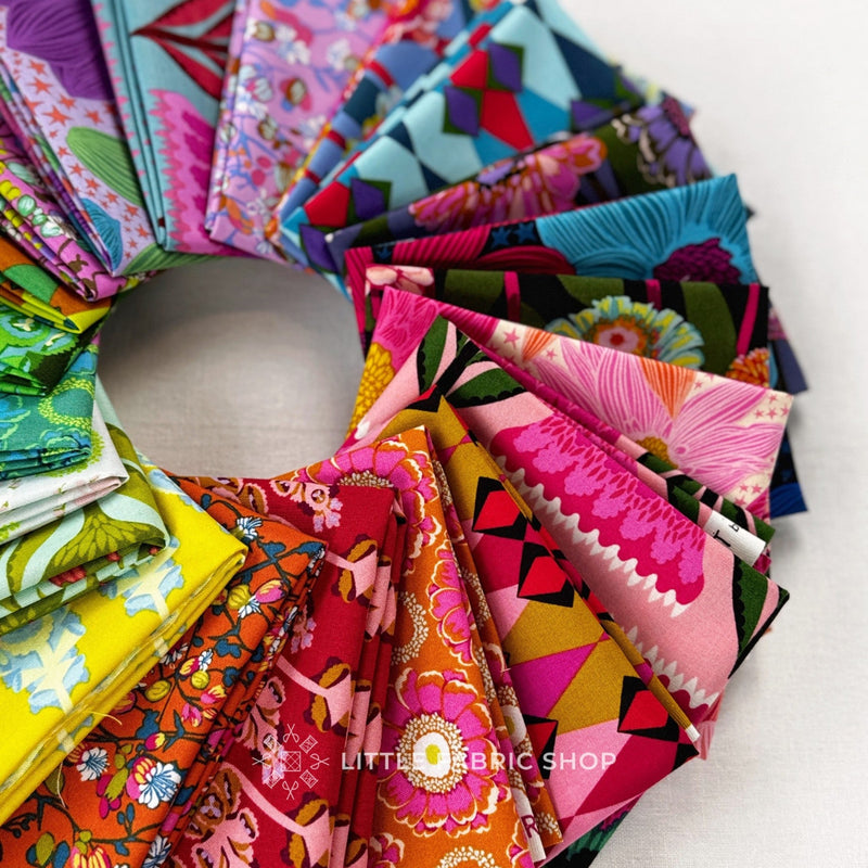 Jumpstart | Anna Maria Textiles | Fat Quarter Bundle | Northcott Fabrics