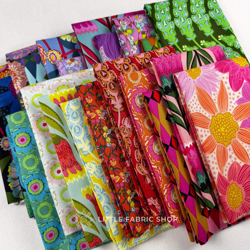 Jumpstart | Anna Maria Textiles | Half Yard Bundle | Northcott Fabrics