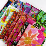 Jumpstart | Anna Maria Textiles | Half Yard Bundle | Northcott Fabrics