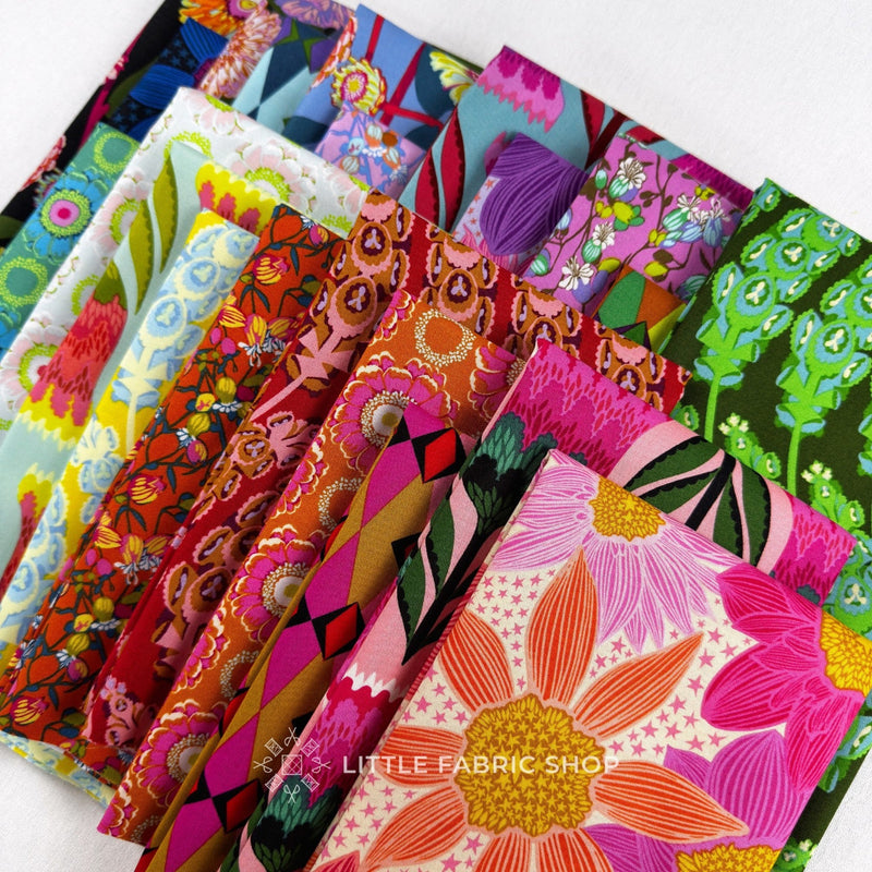 Jumpstart | Anna Maria Textiles | Half Yard Bundle | Northcott Fabrics