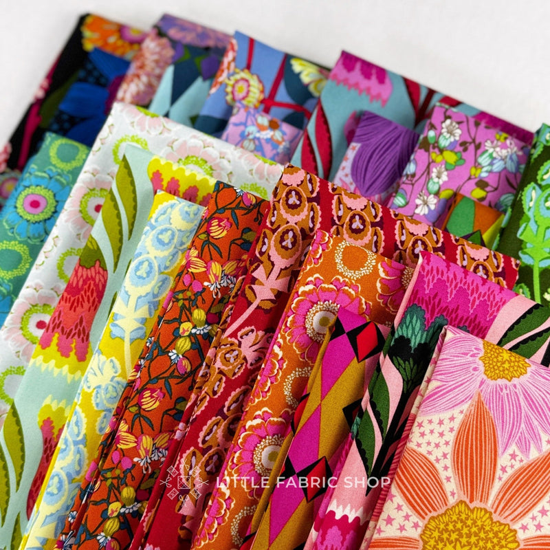 Jumpstart | Anna Maria Textiles | Half Yard Bundle | Northcott Fabrics
