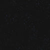Speckled | Ruby Star Society | Onyx | Rashida Coleman-Hale