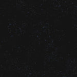 Speckled | Ruby Star Society | Onyx | Rashida Coleman-Hale