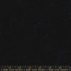 Speckled | Ruby Star Society | Onyx | Rashida Coleman-Hale
