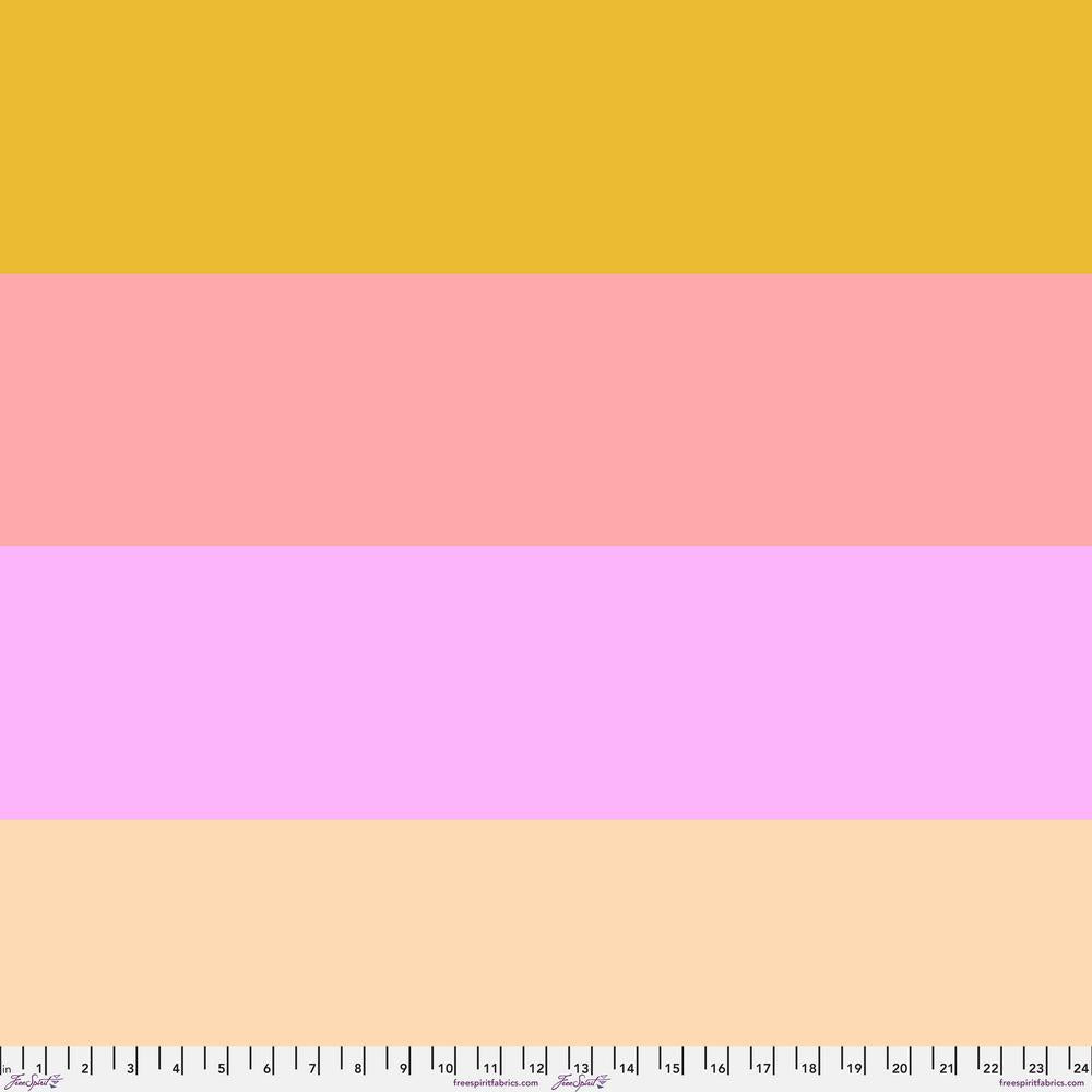 AM Loves HUE | Anna Maria Horner | Straight Shooter - Sorbet | FreeSpirit Fabrics