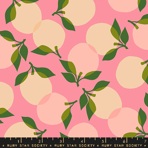 Juicy | Ruby Star Society | Tumbling - Sorbet | Moda Fabrics | Melody Millers