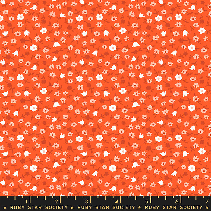 Lil | Ruby Star Society | Catalog Calico - Florida | Kimberly Kight | Ruby Star Society | Moda Fabrics