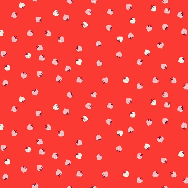 Strawberry | Ruby Star Society | Mini Berry - Lollipop | Kimberly Kight | Moda Fabrics