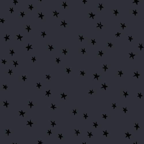Starry | Ruby Star Society | Charcoal | Alexia Marcelle Abegg | Moda Fabrics