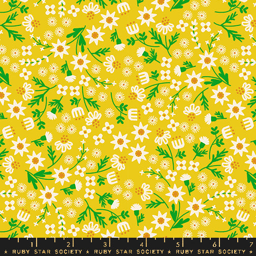 Favorite Flowers | Ruby Star Society | Inflorescence - Golden Hour | Moda Fabrics