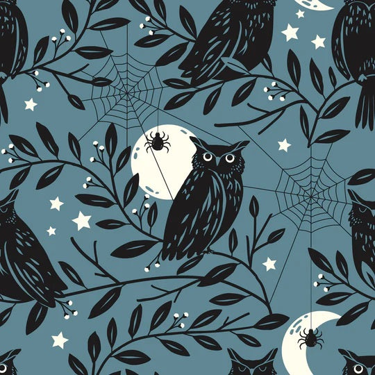 Spellbound | Owls | Dashwood Studio | Sally Mountain