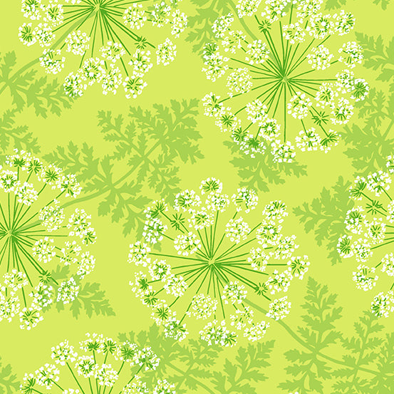 Flora & Fauna | Patty Sloniger | Wild Carrots - Lichen | Andover Fabrics