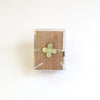 Cohana Glass Sewing Pins in Cherry Wood Box