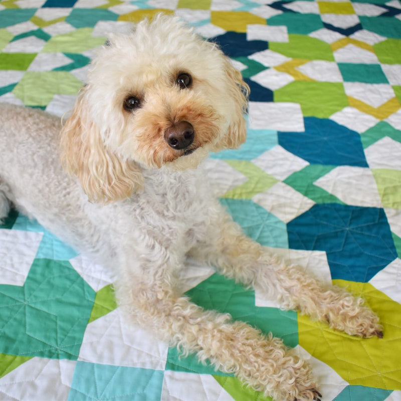 Inkling | Quilt Pattern | Patchwork and Poodles