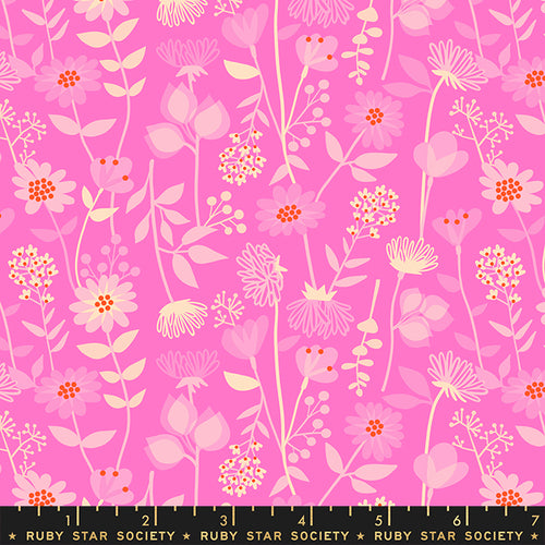 Stay Gold | Meadow - Lipstick | Ruby Star Society | Melody Miller